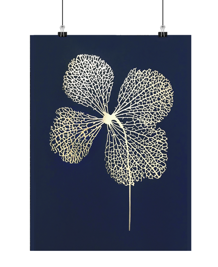 Hortensia guld/blå (LIMITED) Indrammet