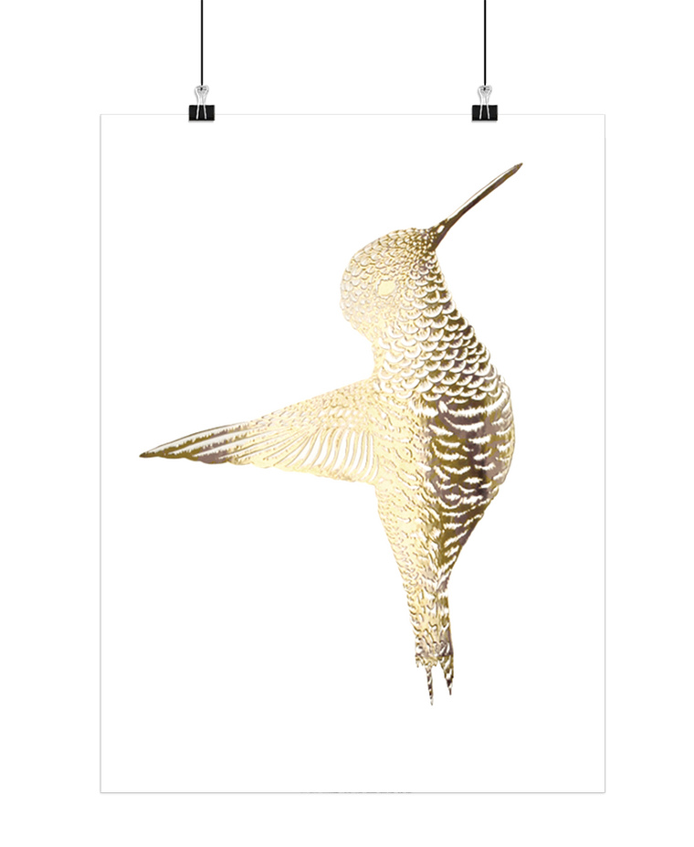 Forgyldt kolibri (indrammet)